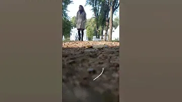 Прогулки по усадьбам Подмосковья. Плейлист Путешествия