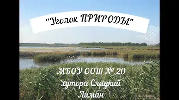 Уголок природы