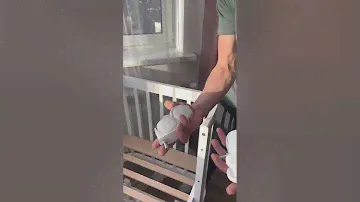 Видео обзор детская овальная кроватка Мия в белом цвете на маянике и колесах