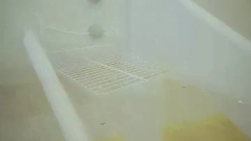 Калипсо кровать