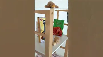 Шкаф монтессори форест