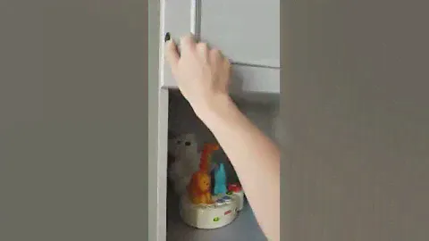 Коллекция Деми